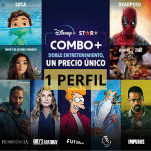 DISNEY STANDAR PERFIL