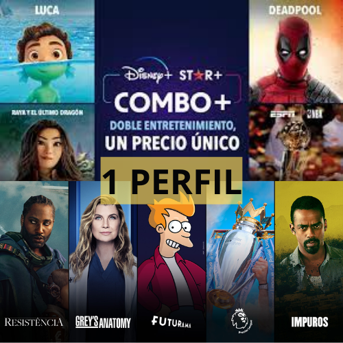 DISNEY STANDAR PERFIL