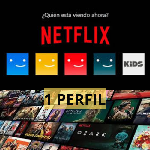 NETFLIX PERFIL