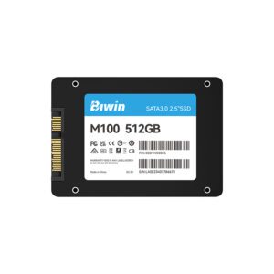 ssd biwin m100 512gb