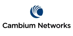 cambium